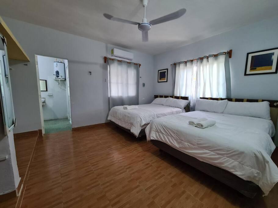 엘 쿠요 Casa Perla Marina, Pequena Casa Frente A La Playa. 아파트 외부 사진