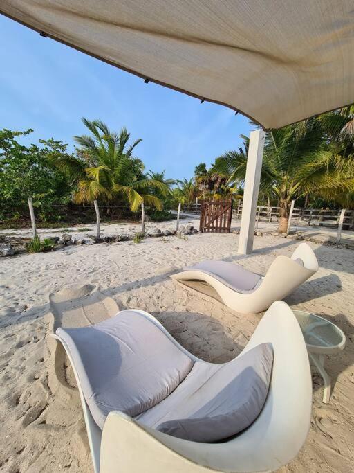 엘 쿠요 Casa Perla Marina, Pequena Casa Frente A La Playa. 아파트 외부 사진